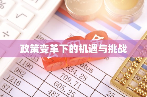 庆城政策变革下的机遇与挑战